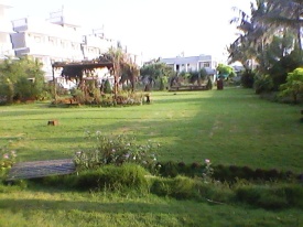 Lawn of the Guest House